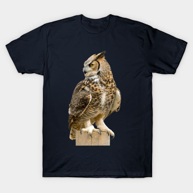 The great owl T-Shirt by ovidiuboc